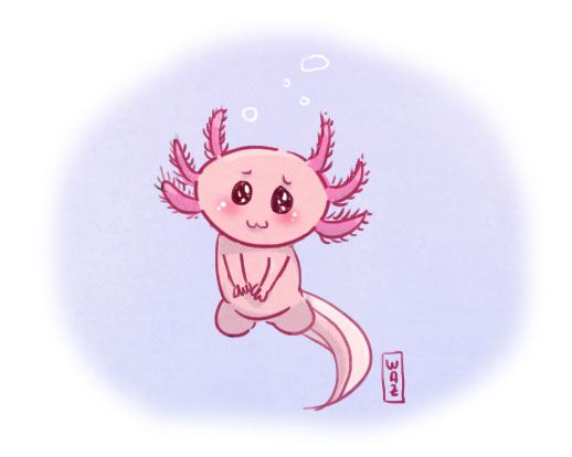 je crois que je vais renoncer à essayer de dessiner cette bestiole Dessin : un axolotl mignon