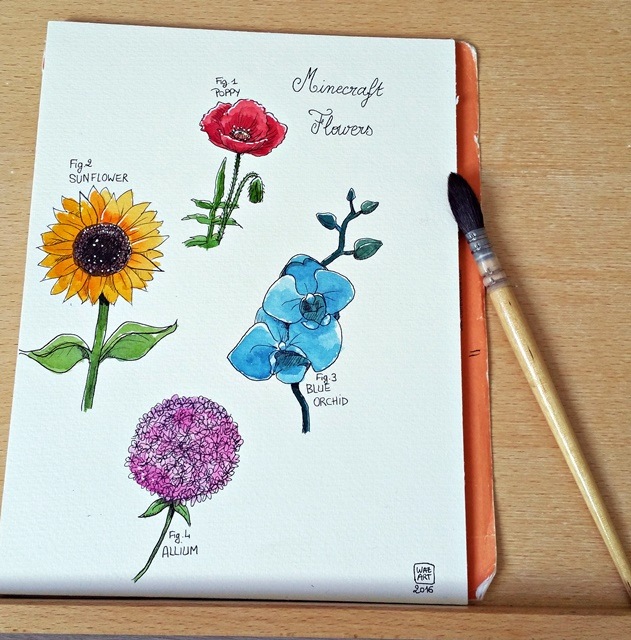 Allium, orchidée bleue, coquelicot et tournesol