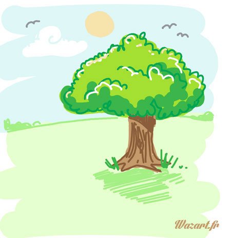 bon ben c'est un arbre, quoi, tu veux que je dise quoi de plus ?