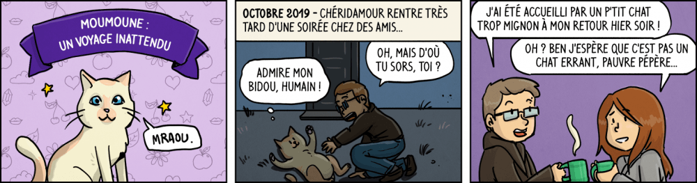 Moumoune : un voyage inattendu. Octobre 2019 - Chéridamour rentre très tard d'une soirée chez des amis... "Oh, mais d'où tu sors, toi ?" "Admire mon bidou, humain !" "J'ai été accueilli par un p'tit chat trop mignon à mon retour hier soir !" "Oh ? Ben j'espère que c'est pas un chat errant, pauvre pépère..."