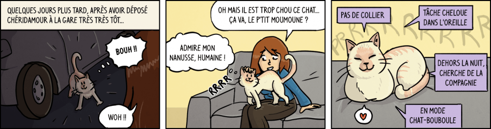 Quelques jours plus tard, après avoir déposé Chéridamour à la gare, très très tôt... "Bouh !" "Woh !" "Oh mais il est trop chou ce chat... ça va, le p'tit moumoune ?" "Admire mon nanusse, humaine !" Pas de collier, tache cheloue dans l'oreille, dehors la nuit, cherche de la compagnie, ronronne en mode chat-bouboule...