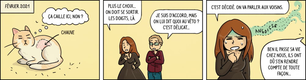 Février 2021. Moumoune, un point chauve sur le flanc : "ça caille ici, non ?". Waz : "Plus le choix, on doit se sortir les doigts, là". Chéridamour : "Je suis d'accord, mais on lui dit quoi au véto ? C'est délicat...". Waz, angoissée : "C'est décidé. On va parler aux voisins.". Chéridamour : "Ben il passe sa vie chez nous, ils ont dû s'en rendre compte de toute façon...".