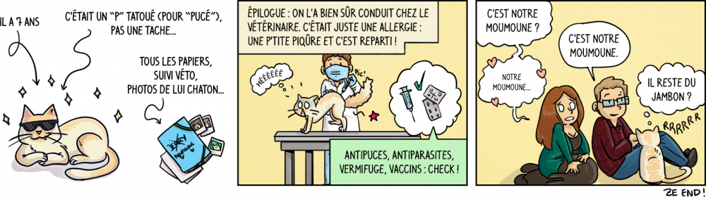 Il a 7 ans. C'était un "P" (pour "pucé"), pas une tache dans son oreille... La voisine nous a donné tous les papiers, le suivi du véto, des photos de lui chaton... Epilogue : On l'a bien sûr conduit chez le vétérinaire. C'était juste une allergie : une p'tite piqûre et c'est reparti ! Antipuces, antiparasites, vermifuge, vaccin : check ! (dessin de Moumoune pas ravi, se prenant une piqûre dans le fion). Waz et Chéridamour, attendris devant le chat : "C'est notre Moumoune ? C'est notre Moumoune. Notre Moumoune...". Le chat, ronronnant : "Il reste du jambon ?".