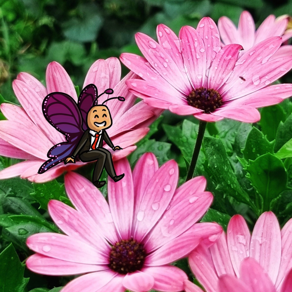 Mignon papillon souriant en costume-cravate et assis, dessiné par-dessus une photo des jolies fleurs roses.