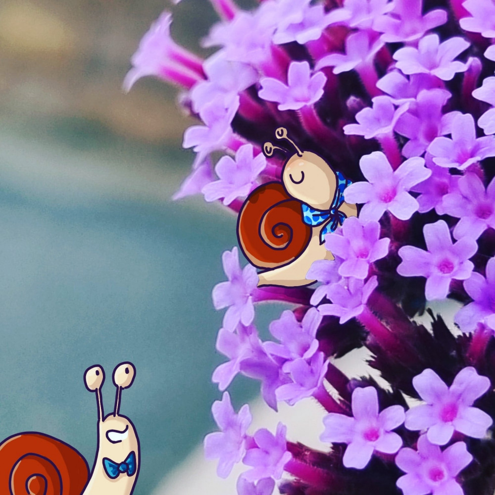 Photo de fleurs d'un arbre à papillon, avec dessiné par-dessus un escargot portant un foulard, caché dans les fleurs, courtisé par une escargot au sol avec un noeud papillon