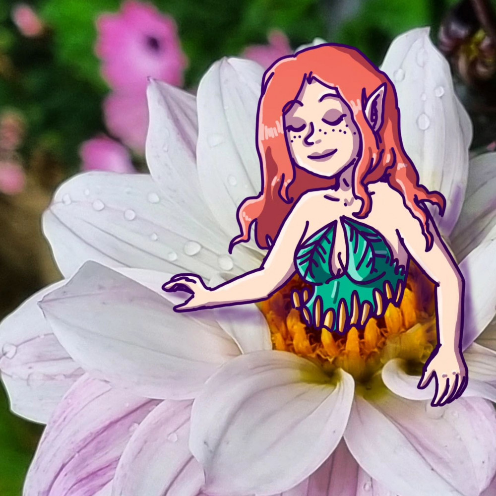 Photo en gros plan d'une fleur blanche, par-dessus laquelle j'ai dessiné le buste d'une jeune fille, de façon à ce que la fleur lui forme une sorte de tutu.