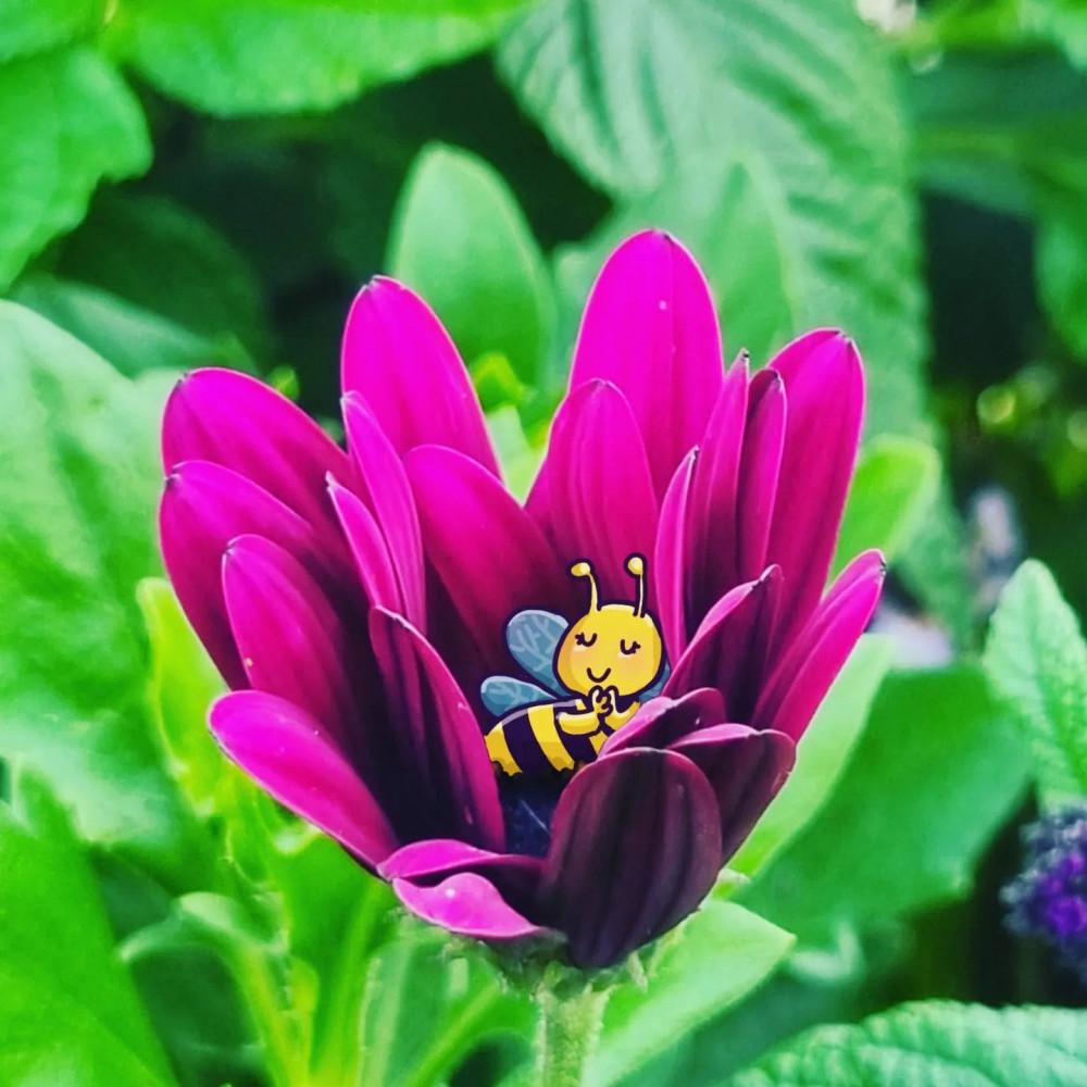 une abeille mignonne en train de dormir, dessiné par-dessus une photo montrant le creux d'une fleur violette légèrement refermée