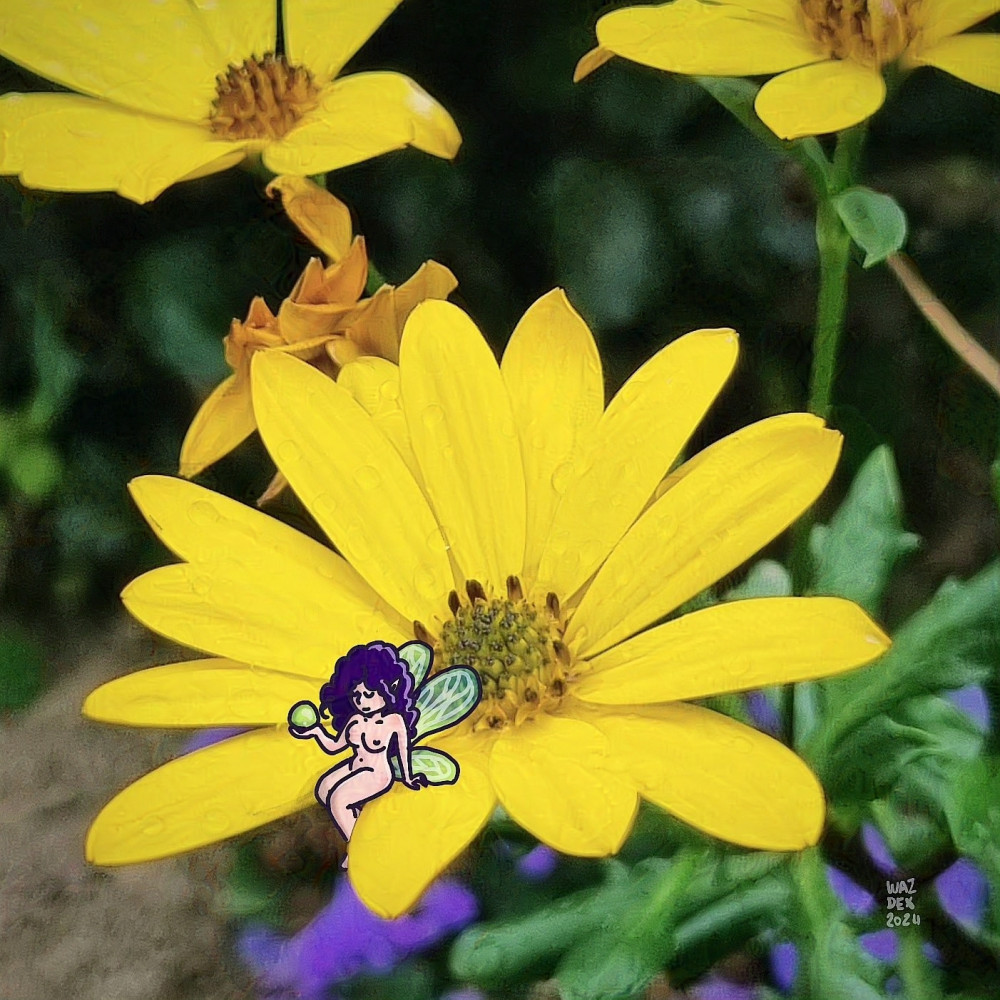 Dessin numérique d'une nymphe nue et pensive, assise sur les pétales d'une fleur jaune (fleur en photo) et tenant une goutte de rosée dans la main.