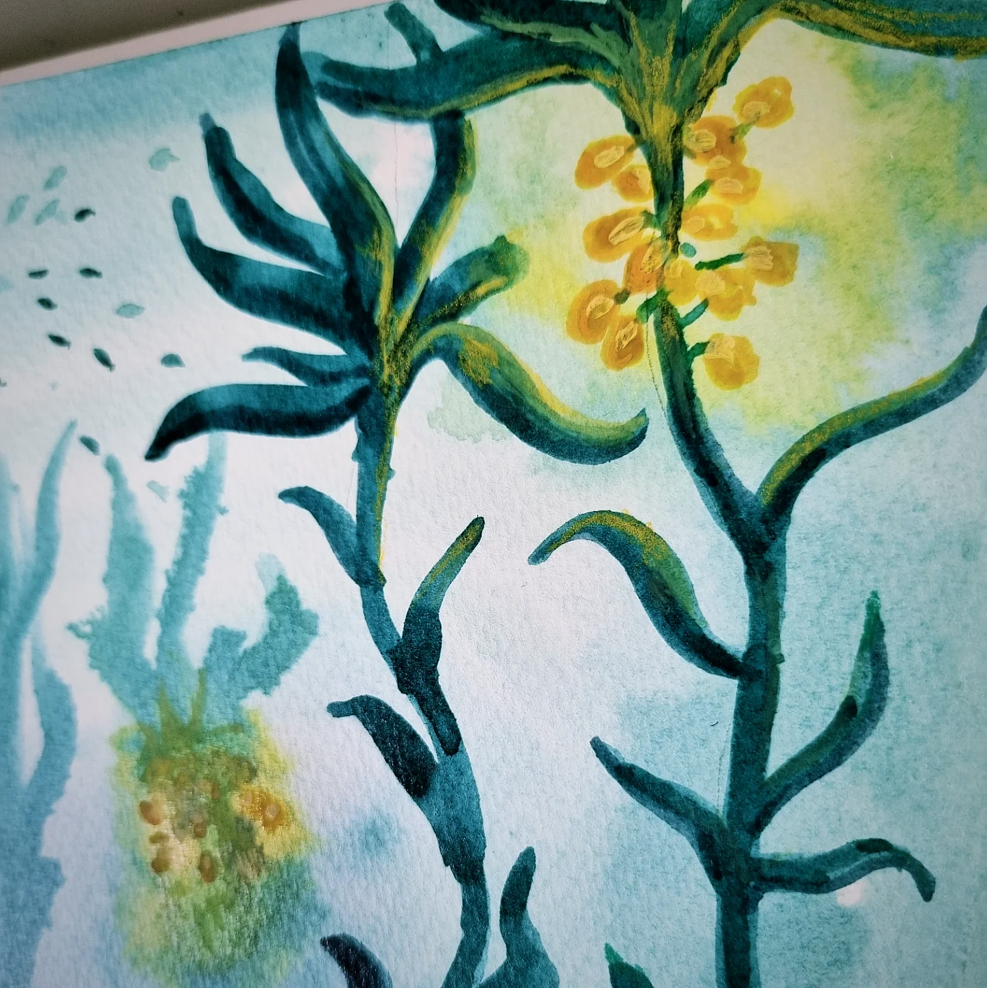 Zoom de l'illustration sur les vignes éclairées