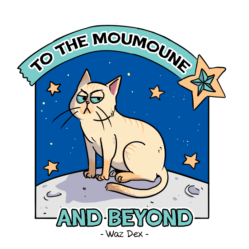 Chat boudeur sur fond spatial