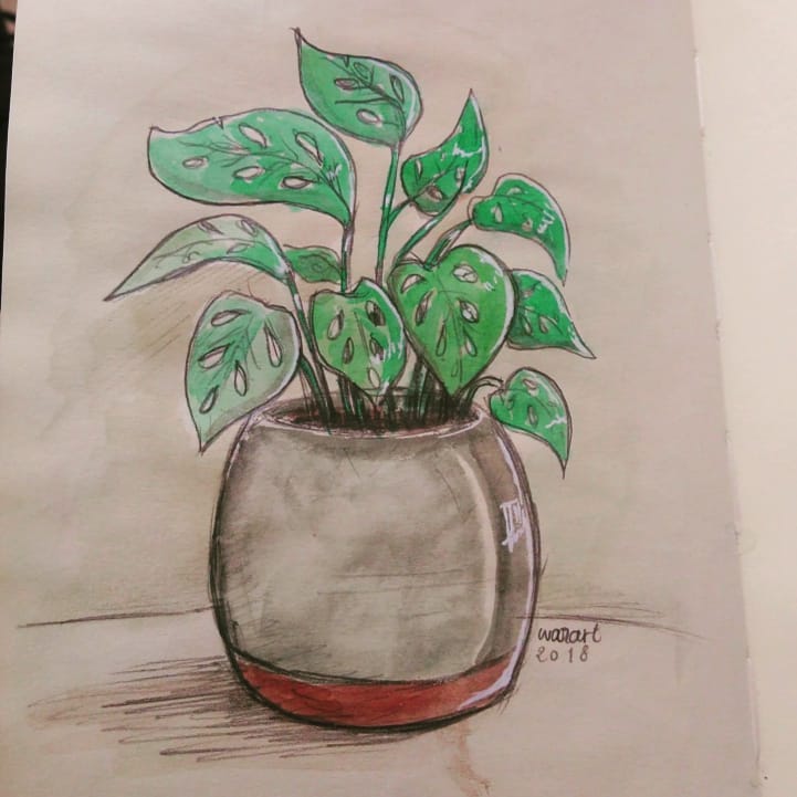 Une plante verte dessinée à l'aquarelle