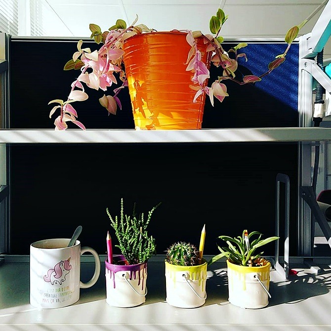 tasse licorne "c'est dur d'être une créature fantastique mais ça va, je gère" + trois succulentes dans des pots façon "pots de peinture qui débordent" violet, vert et jaune et une grosse plante verte